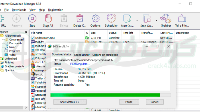 برنامج Internet Download Manager